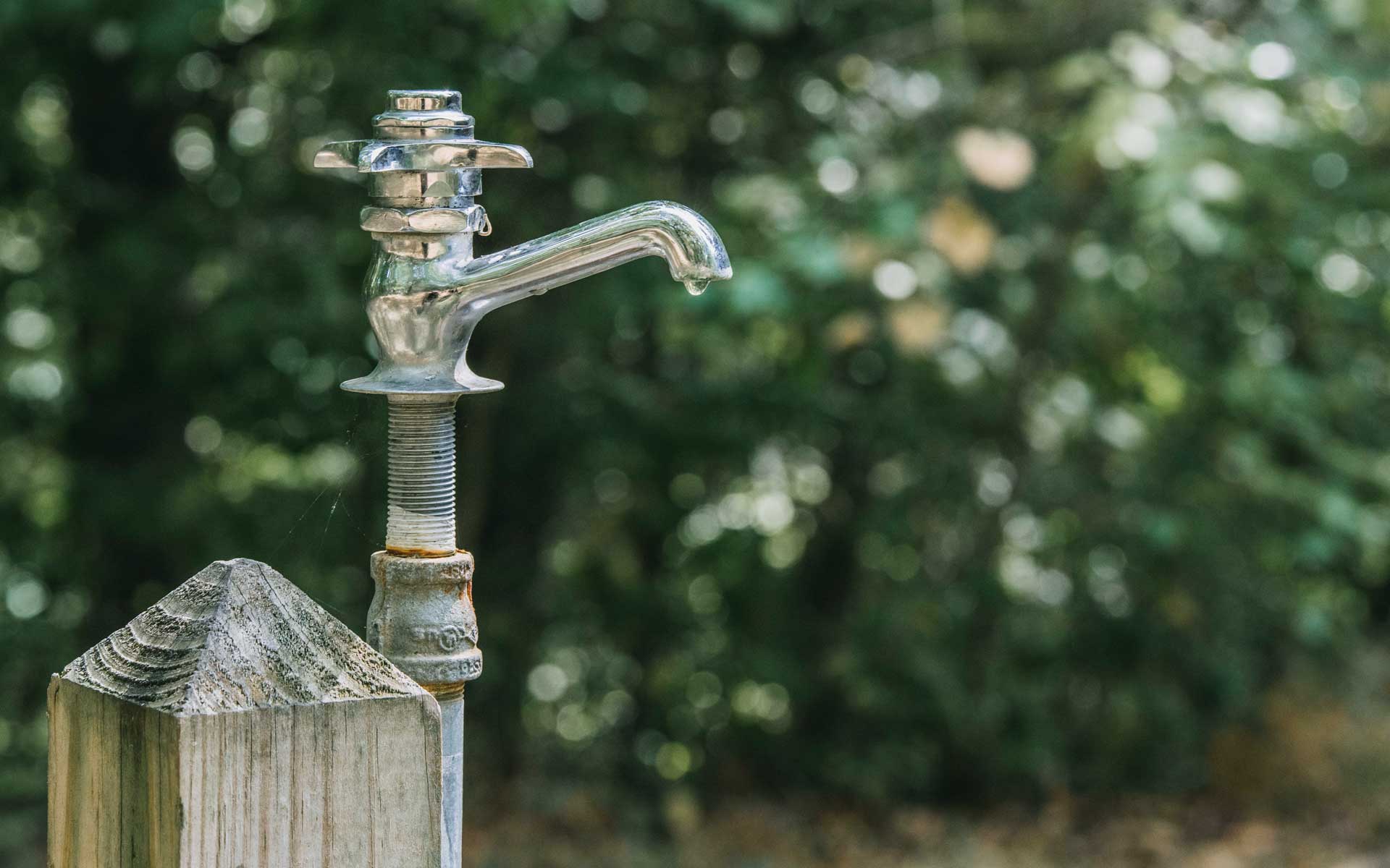 Drip email marketing, otherwise known as drip email campaigns, is the perfect way to automate the marketing and sales process, easily converting leads into customers.